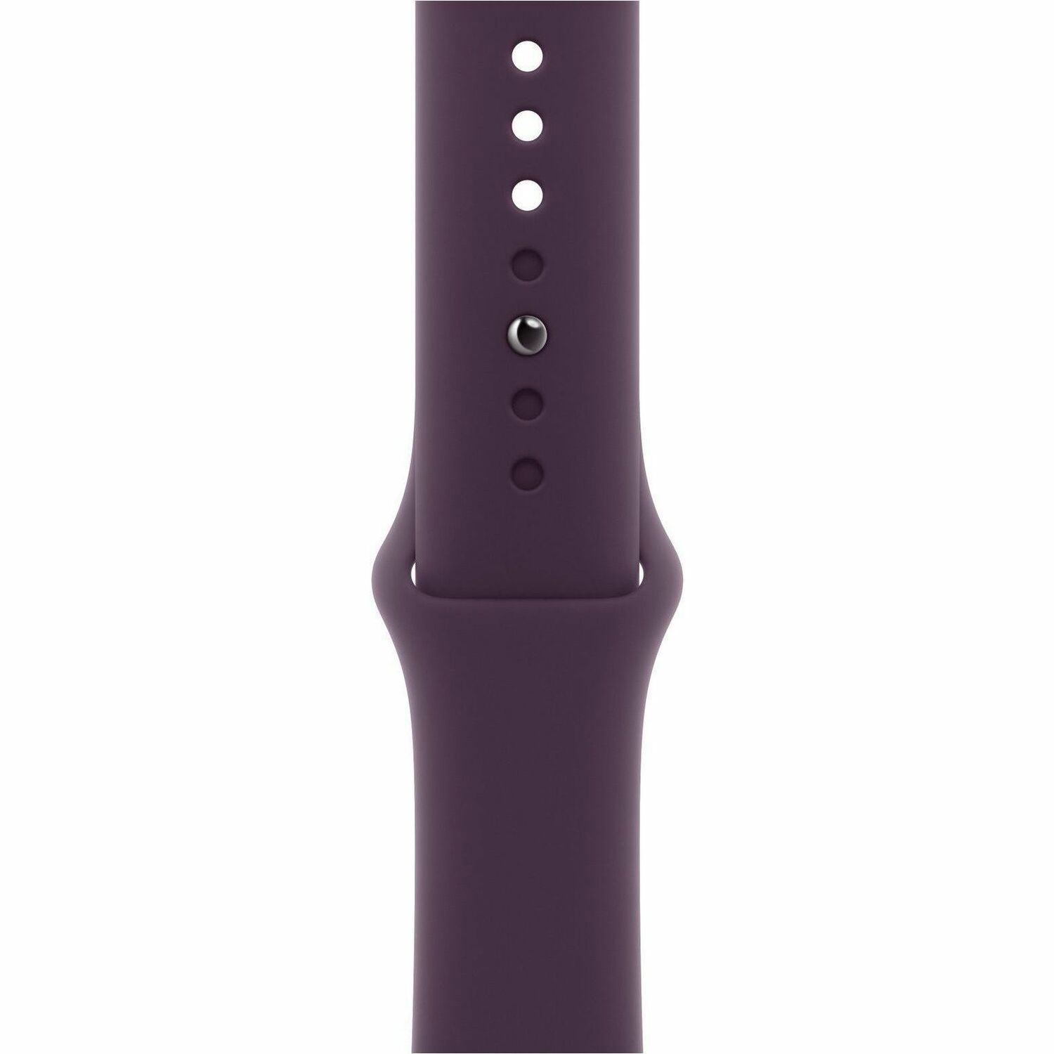Apple Adjustable Smartwatch Band