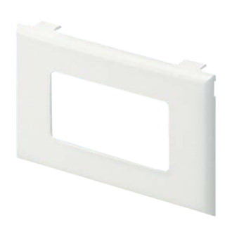 Panduit Pan-Way Classic 1 Gang 2 Socket Snap-on Faceplate