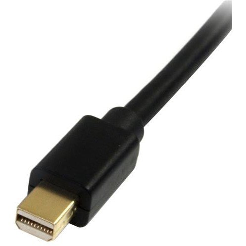 StarTech.com 6 ft Mini DisplayPort to DisplayPort 1.2 Adapter Cable M/M - DisplayPort 4k