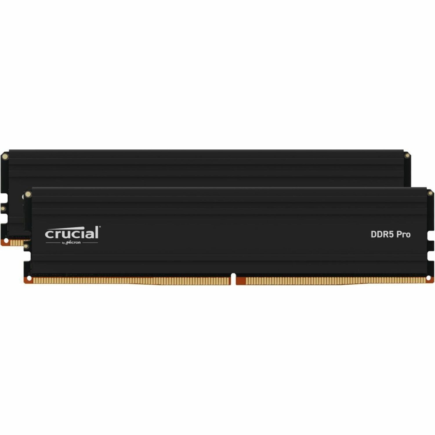 Micron PRO 48GB (2 x 24GB) DDR5 SDRAM Memory Kit