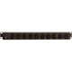 Vertiv Geist SPN124-10 12-Outlets PDU