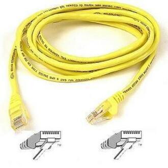 Belkin Cat6 UTP Patch Cable