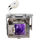 ViewSonic RLC-110 Projector Lamp