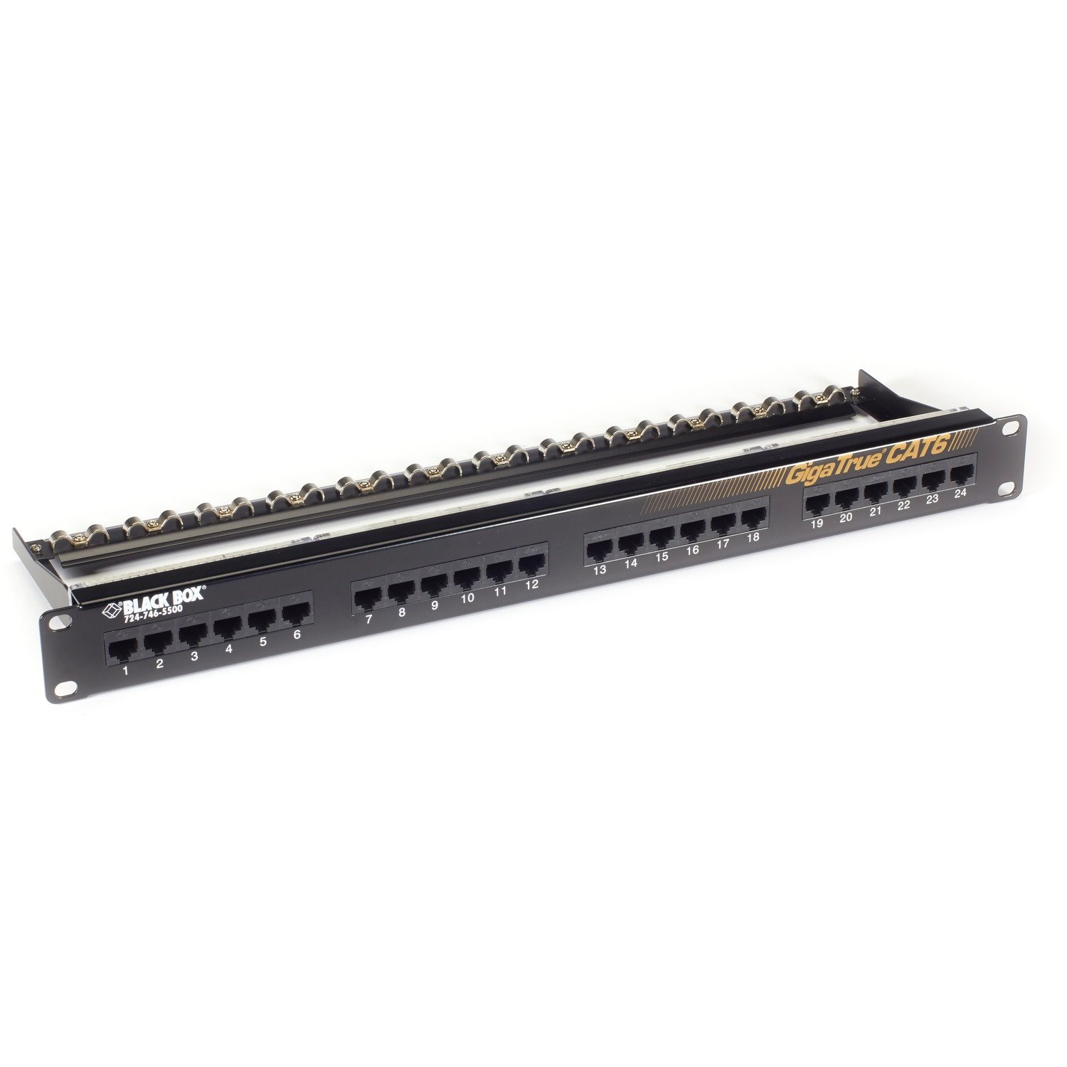 Black Box GigaTrue CAT6 Patch Panel - 1U, Unshielded, 24-Port