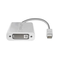 PNY Mini DisplayPort (M) to DVI-D (F) (Pack of 4)