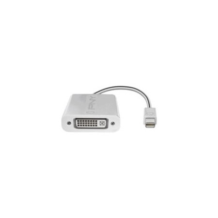 PNY Mini DisplayPort (M) to DVI-D (F) (Pack of 4)