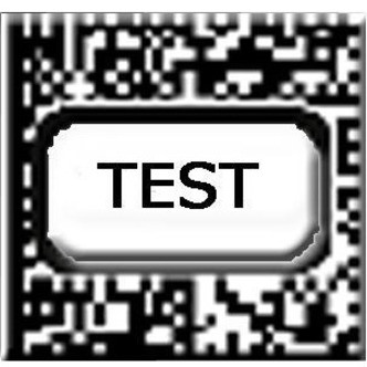 Seiko SLP-STAMP1 Barcode Label