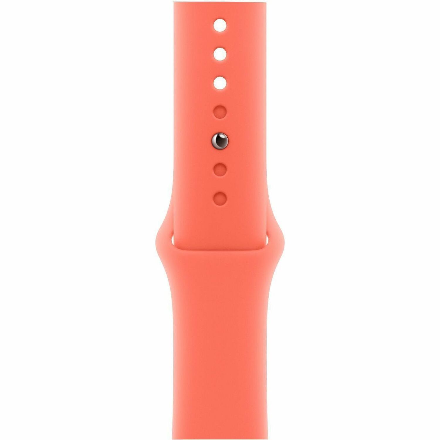 Apple Adjustable Smartwatch Band