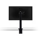 LG UltraFine 32UN880-B 32" Class 4K UHD LCD Monitor - 16:9 - Matte Black