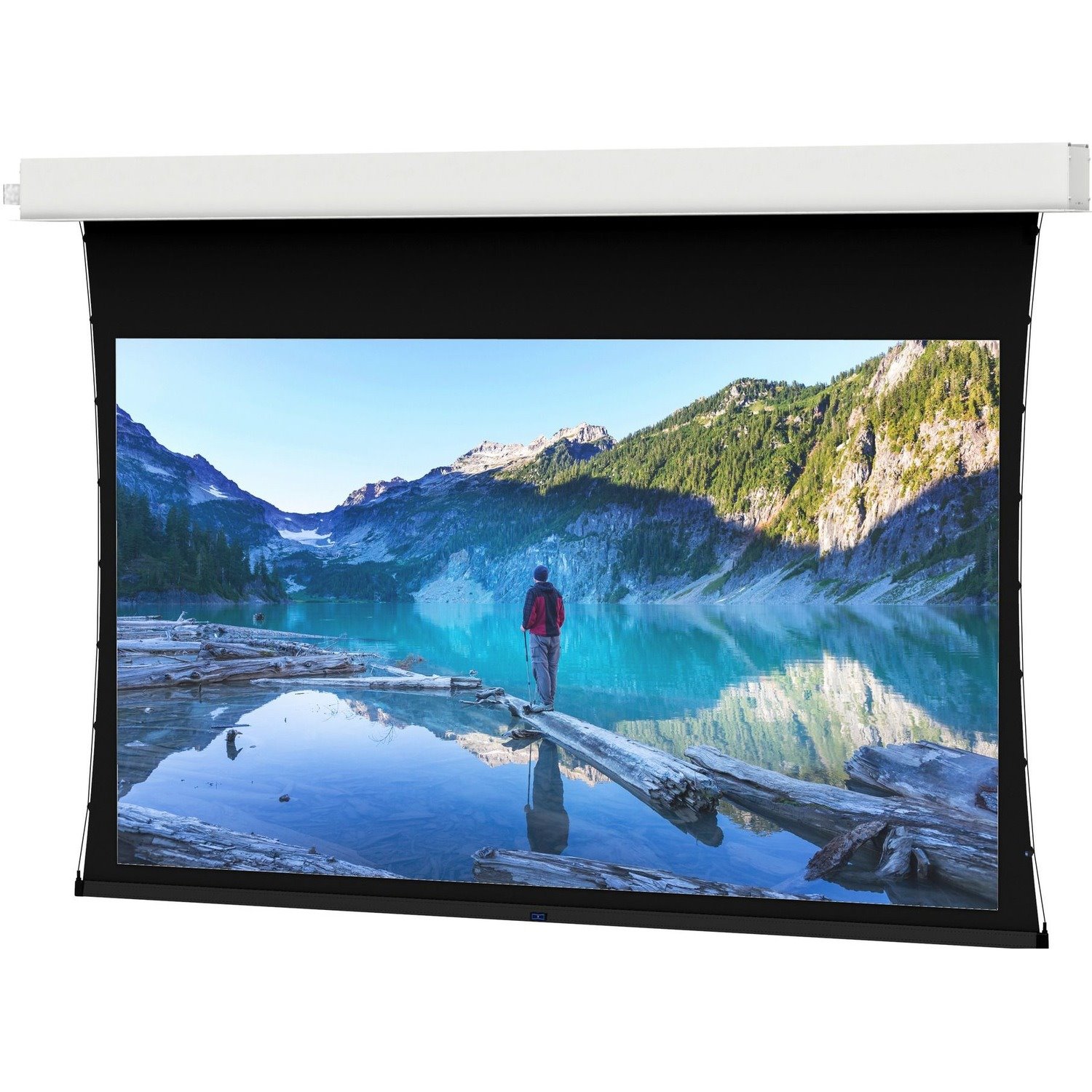 Milestone Tensioned Advantage Electrol 109" Electric Projection Screen