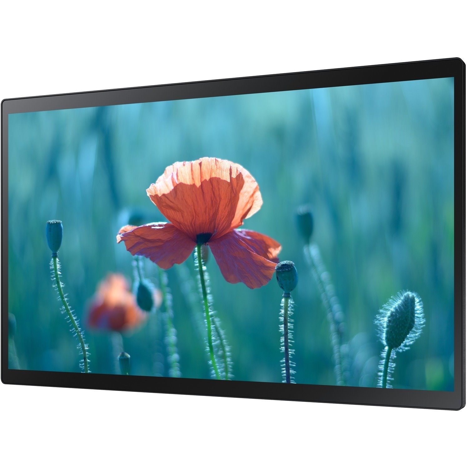 Samsung QB24R-TB 24" LCD Digital Signage Display