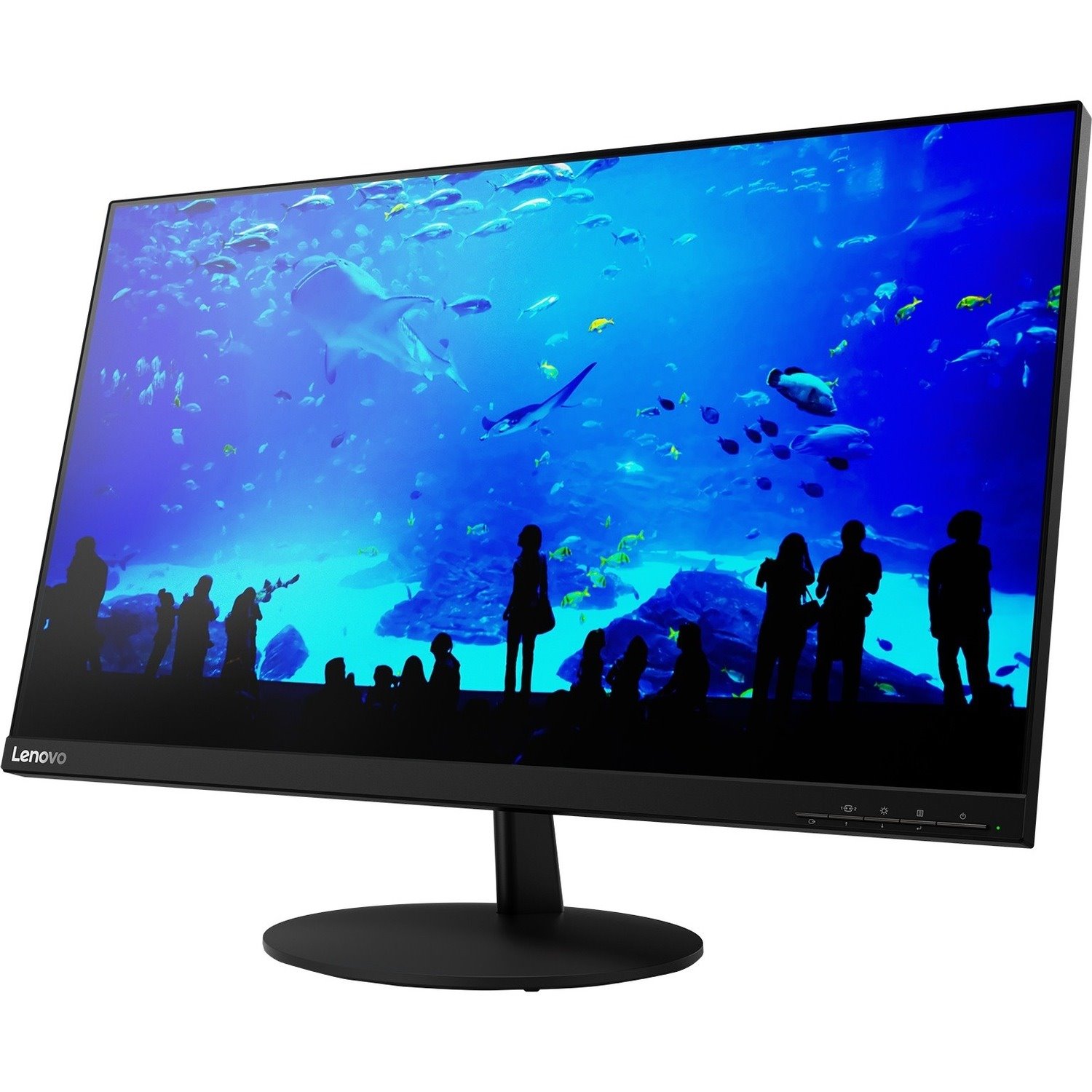 Lenovo L28u-30 28" Class 4K UHD LCD Monitor - 16:9 - Raven Black