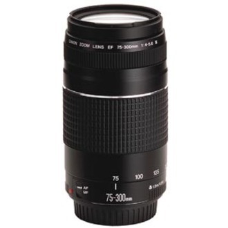 Canon EF 6473A015f/5.6 - Telephoto Zoom Lens