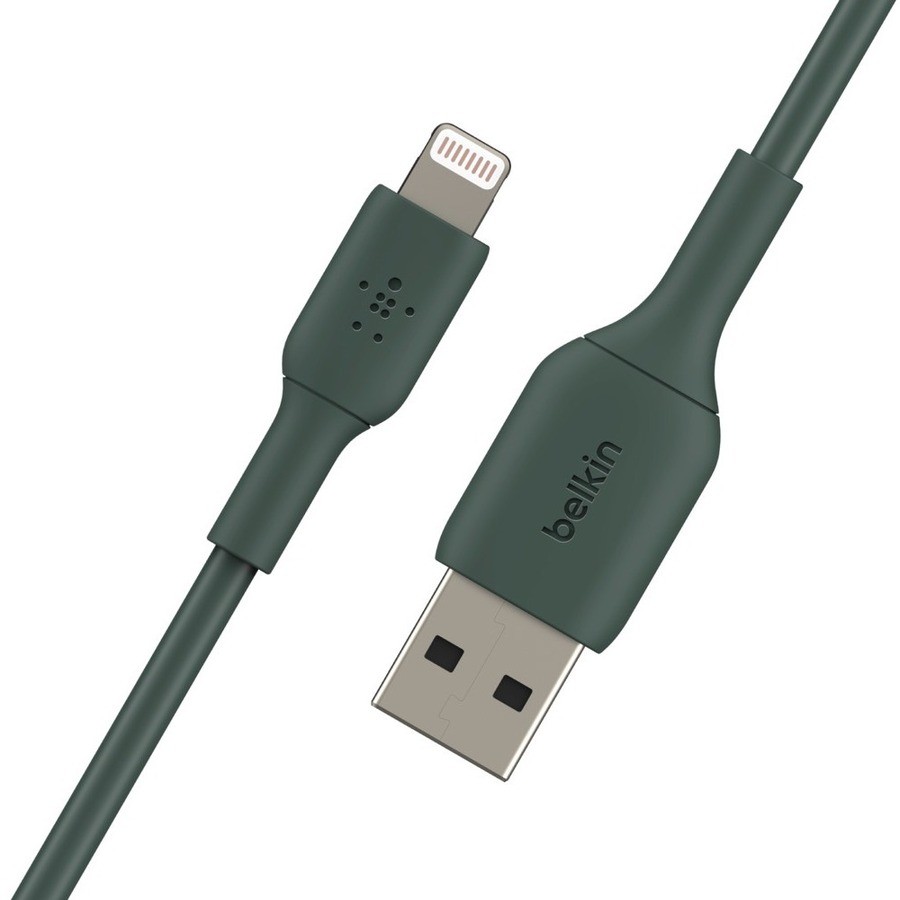 Belkin 1 m Lightning/USB-C Data Transfer Cable