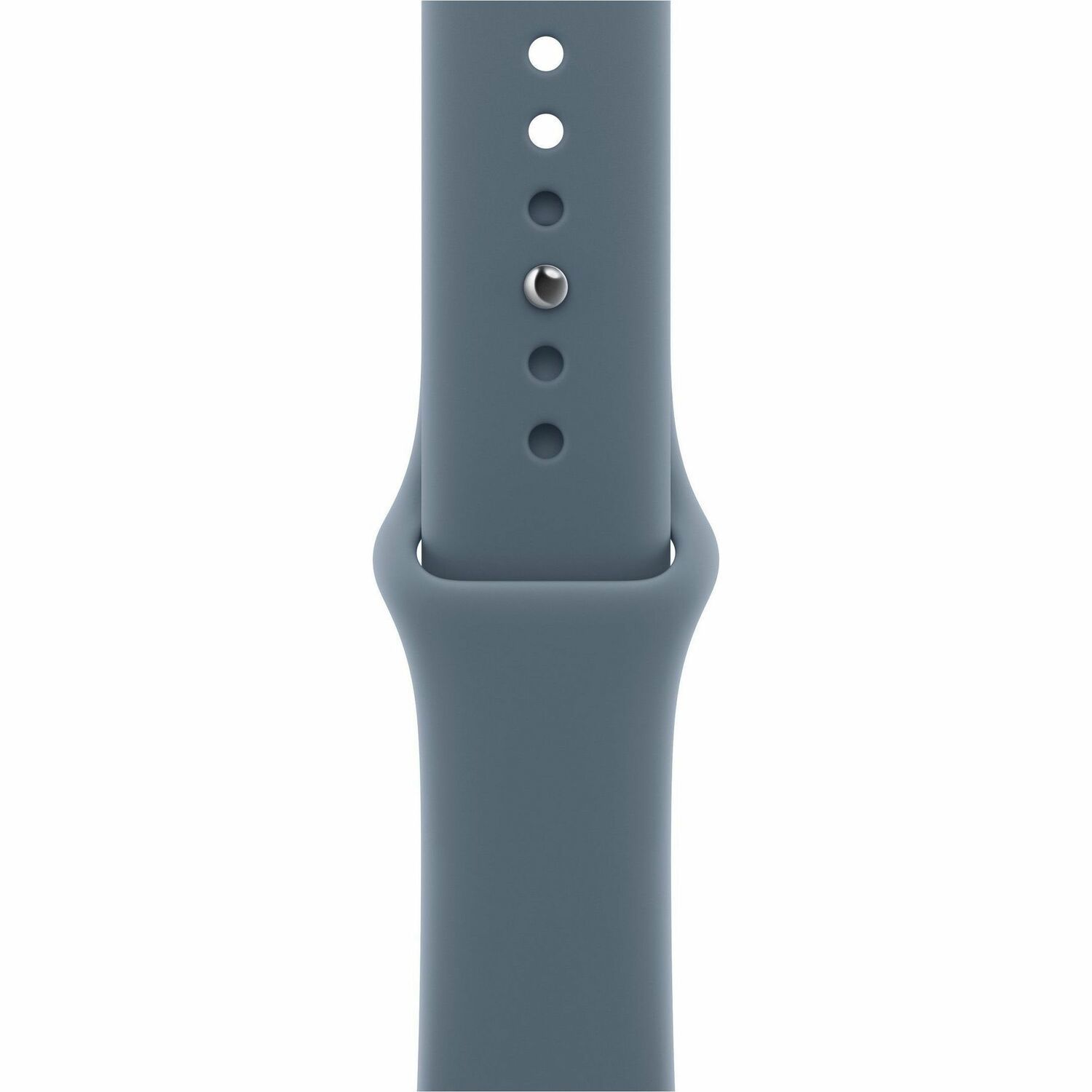 Apple Adjustable Smartwatch Band