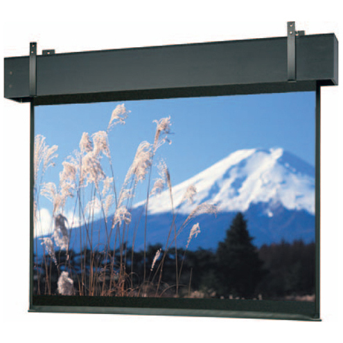 Da-Lite Professional Electrol 38697 295" Electric Projection Screen