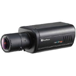 EverFocus Network Camera - Color