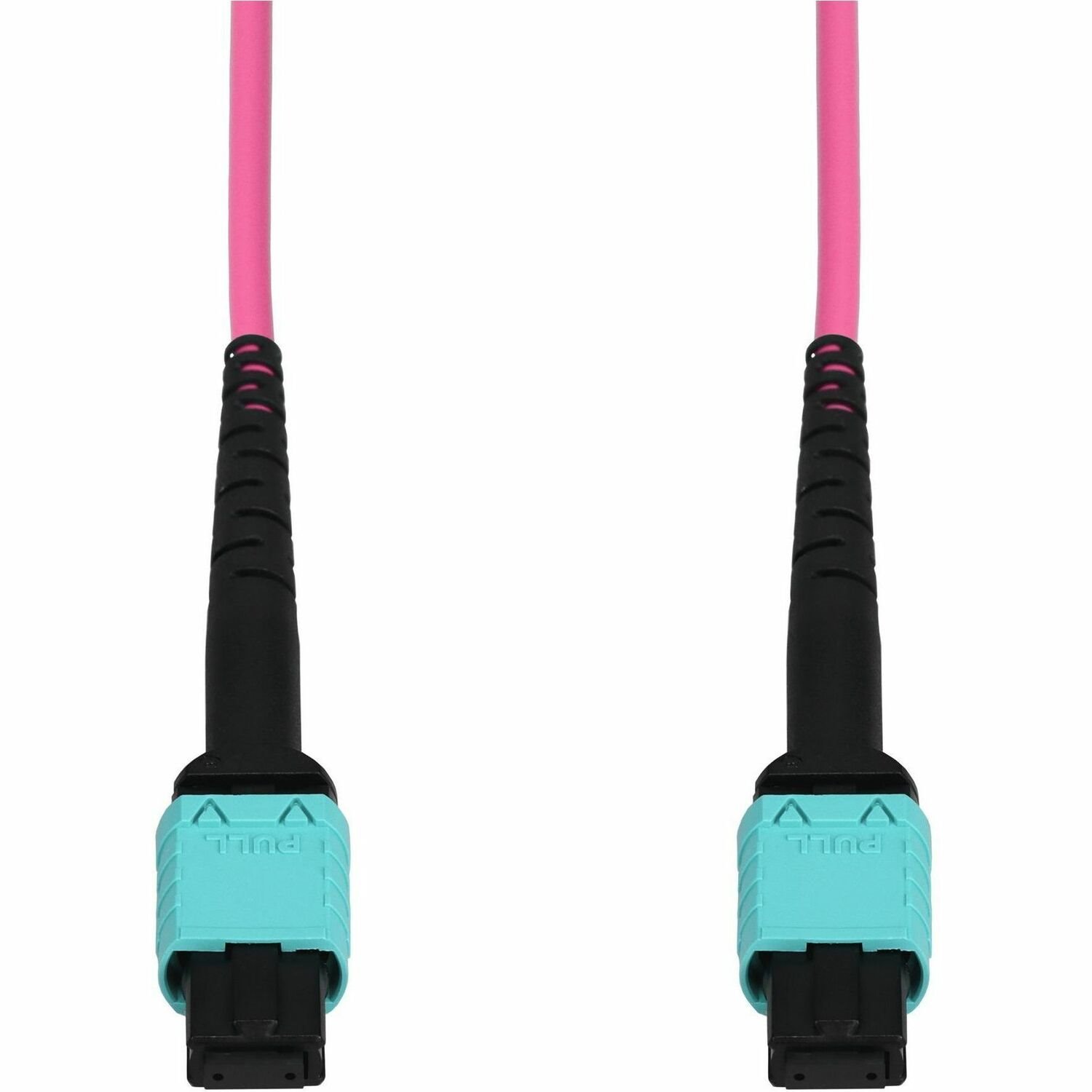 Proline 30m MPO/UPC to MPO/UPC Magenta OM4 OFNR (Riser-Rated) 12-Strand Fiber Patch Cable