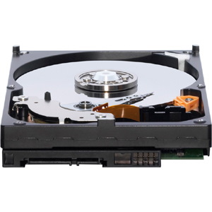 WD Caviar Blue WD3200AAJS 320 GB Hard Drive - 3.5" Internal - SATA (SATA/300)