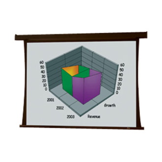 Draper Premier 10' Projection Screen