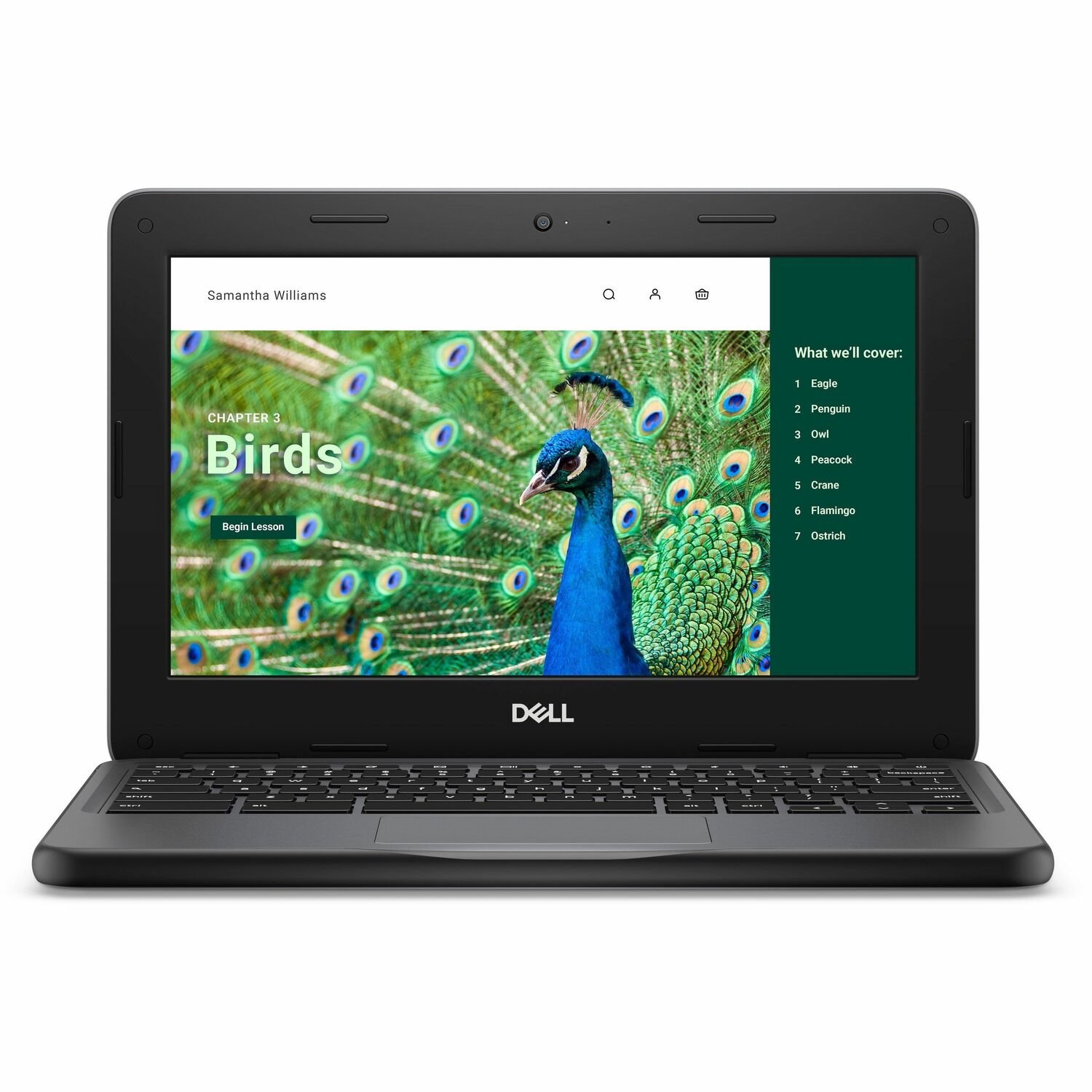 Dell Chromebook 3000 3120 11.6" Clamshell Chromebook - HD - 60 Hz - Intel N100 - 4 GB - 64 GB Flash Memory - English (US) Keyboard - Gray