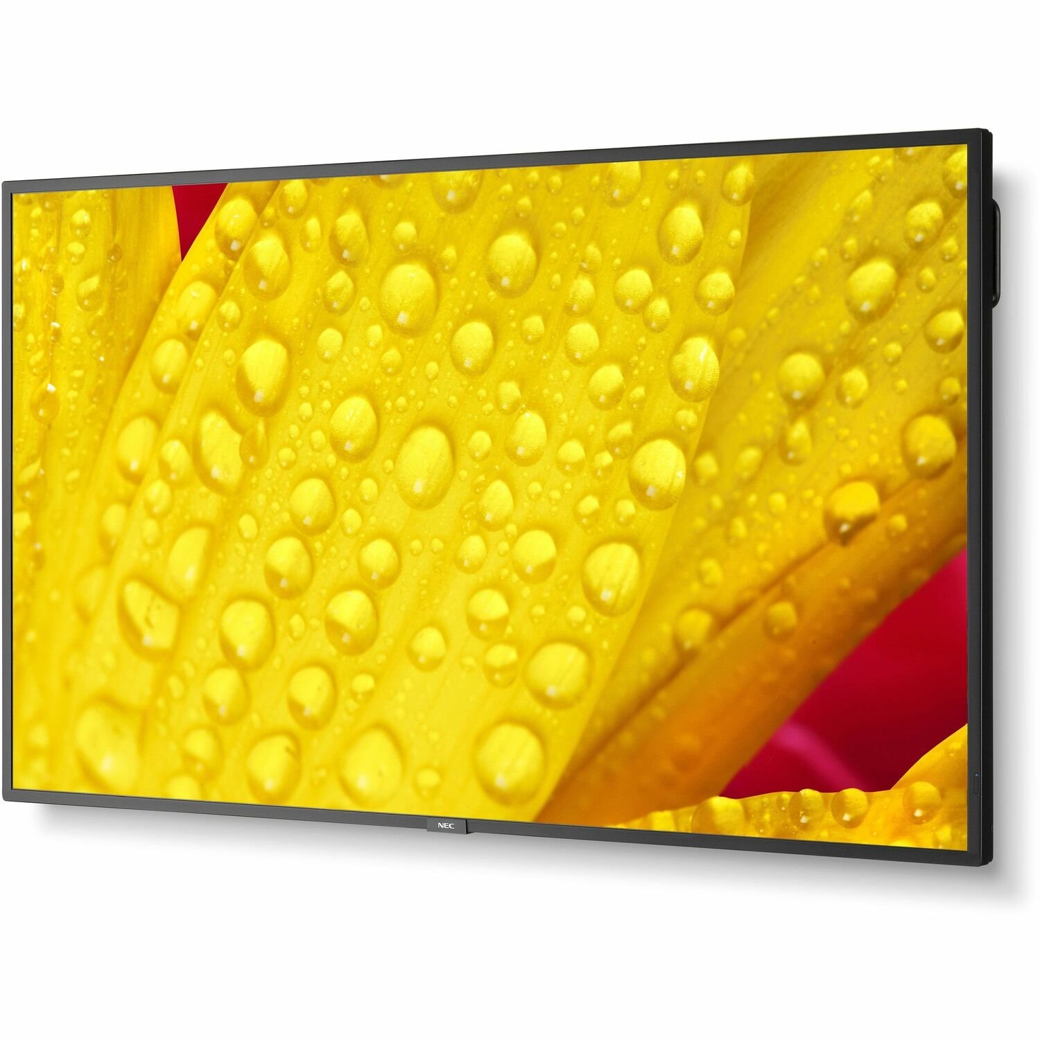 Sharp NEC Display MultiSync M651-2 65" 4K UHD LCD Digital Signage Display - 24 Hours/7 Days Operation - Energy Star