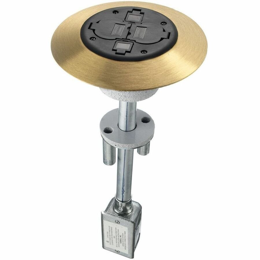 Hubbell Premise Wiring 2x2 Flush Duplex Series, Complete Unit, Isolated Ground, Black/Brass Finish