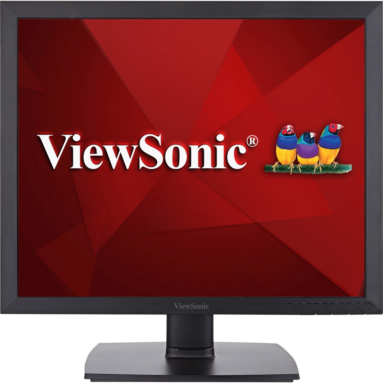 ViewSonic VA951S 19 Inch IPS 1024p LED Monitor with DVI VGA and Enhanced Viewing Comfort