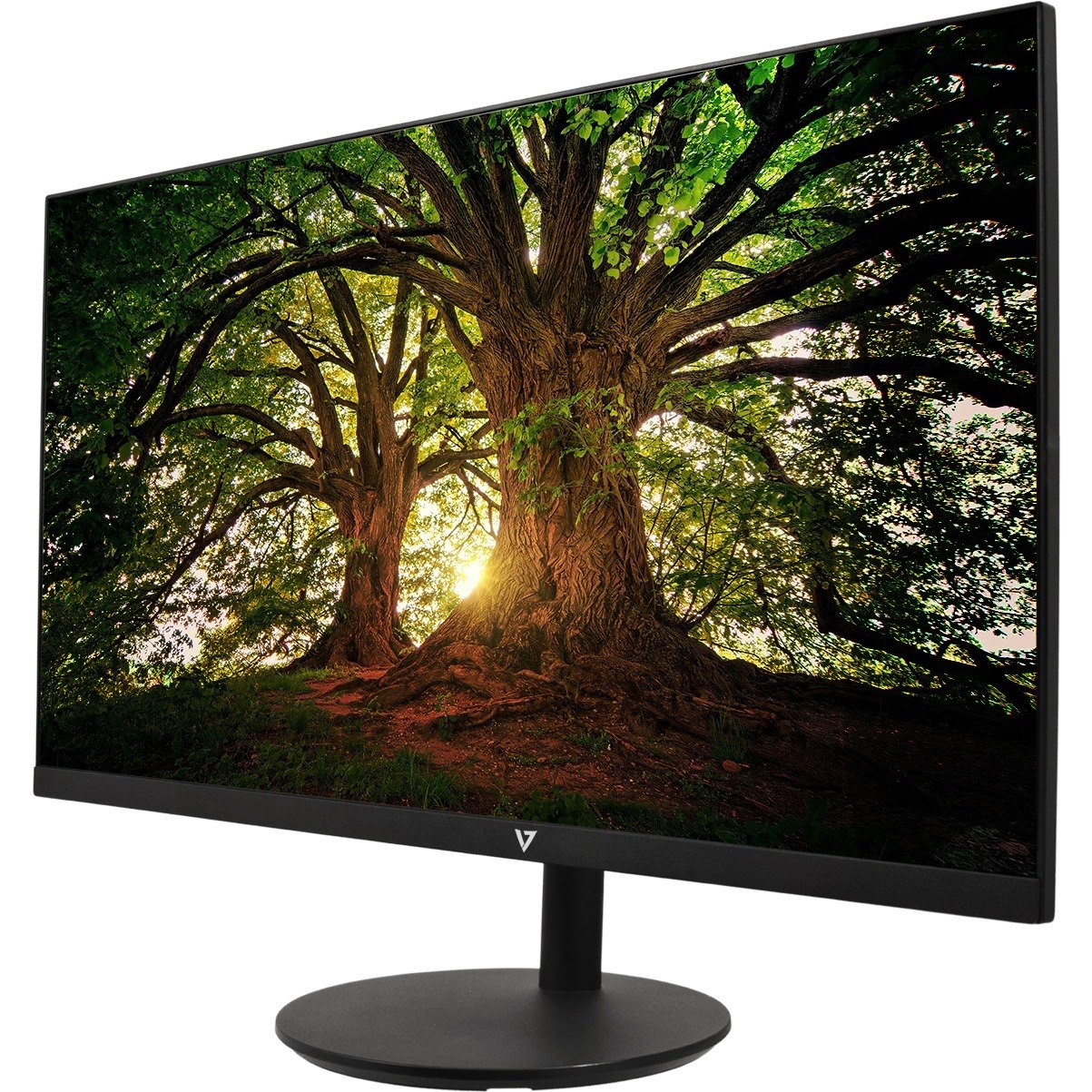 V7 L238IPS-HAS-N 24" Class Full HD LED Monitor - 16:9 - Black