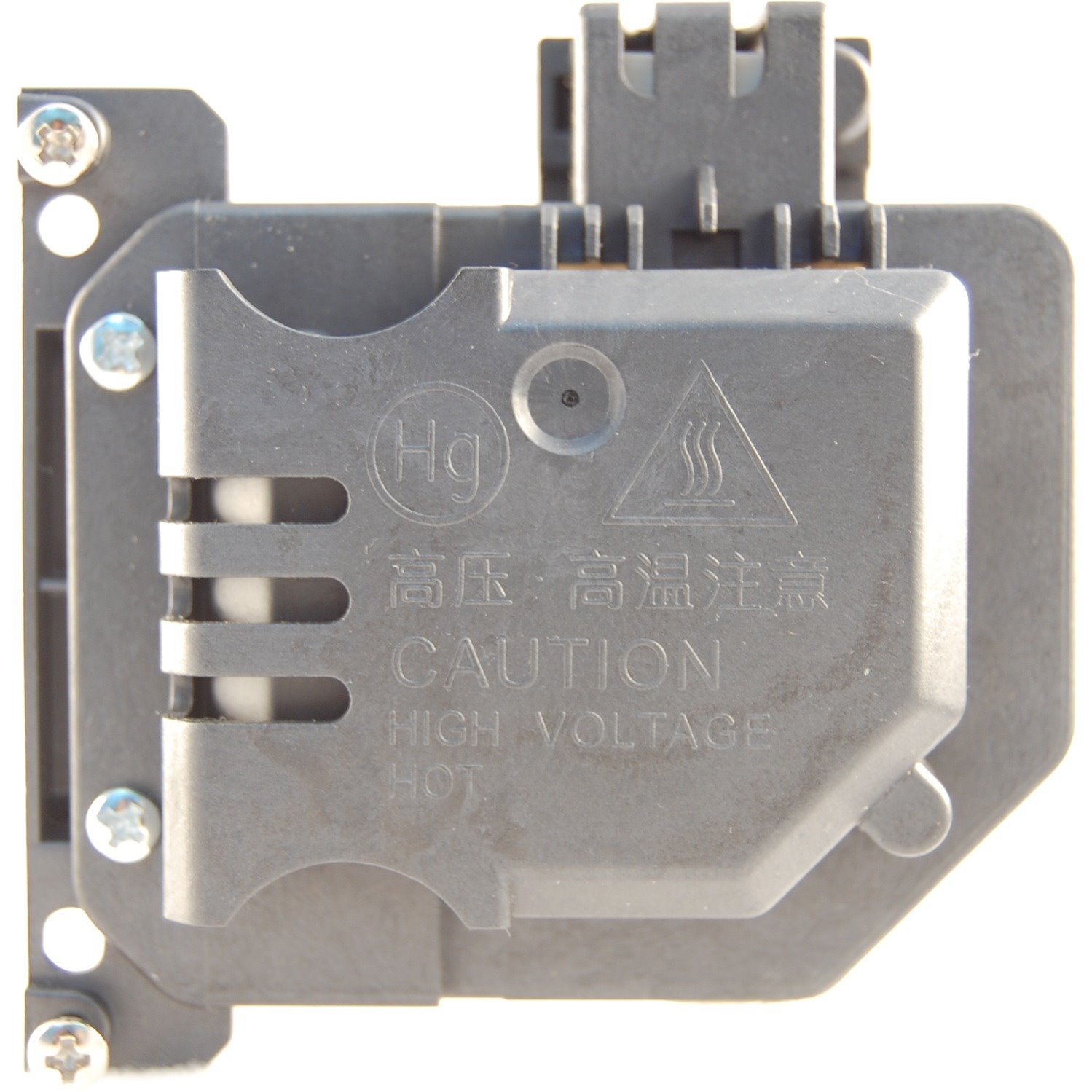 DataStor Projector Lamp