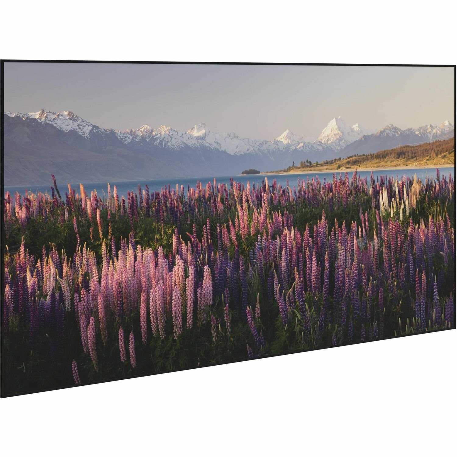 Da-Lite Parallax Thin 104" Fixed Frame Projection Screen