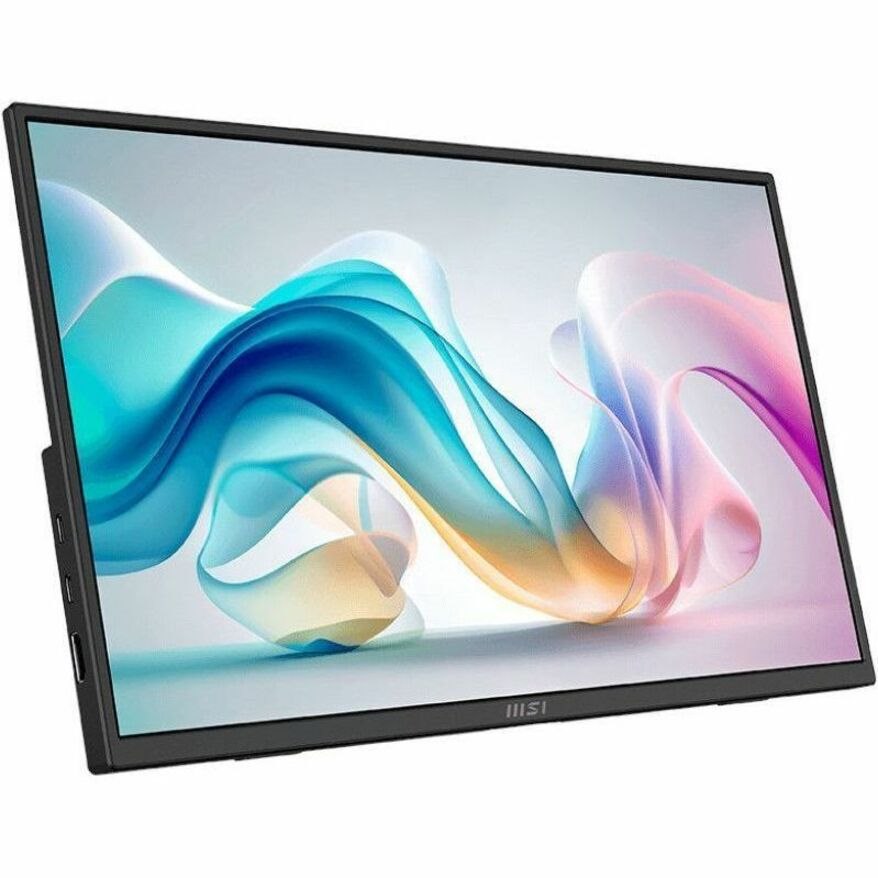 MSI Pro MP165 E6 16" Class Full HD LCD Monitor - 16:9 - Matte Black