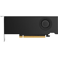 HP NVIDIA A2000 Graphic Card - 12 GB