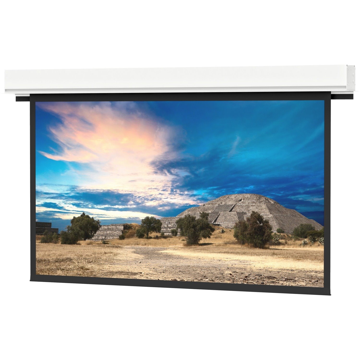 Da-Lite Advantage Electric Projection Screen