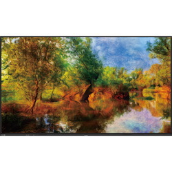 Sharp NEC Display 70" Class 8K Ultra-HD Professional Display