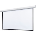 Draper Targa 165" Projection Screen