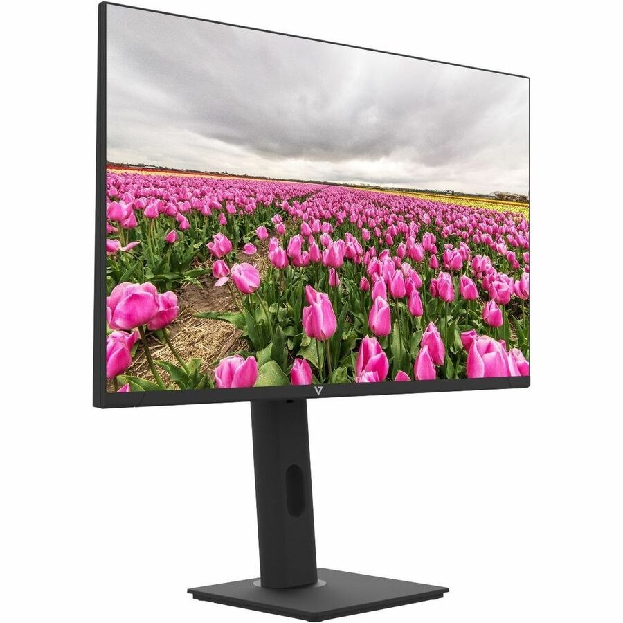 V7 23.8" FHD 1920x1080 IPS LED Monitor - 16:9 - 23.8" Viewable - In-Plane Switching (IPS) - LED Backlight - 1920 x 1080 - 16.7 Million Colors - FreeSync - 250 Nit Typical - 5 ms - 100 Hz Refresh Rate - HDMI - VGA - Speakers - HAS - Height Adjustable Stand