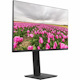 V7 23.8" FHD 1920x1080 IPS LED Monitor - 16:9 - 23.8" Viewable - In-Plane Switching (IPS) - LED Backlight - 1920 x 1080 - 16.7 Million Colors - FreeSync - 250 Nit Typical - 5 ms - 100 Hz Refresh Rate - HDMI - VGA - Speakers - HAS - Height Adjustable Stand