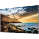 Samsung QE65T 65" LCD Digital Signage Display
