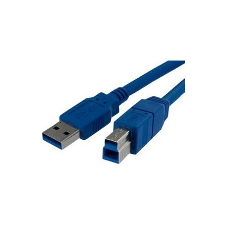 StarTech.com 6 ft SuperSpeed USB 3.0 (5Gbps) Cable A to B M/M