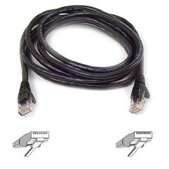 Belkin Cat6 UTP Patch Cable