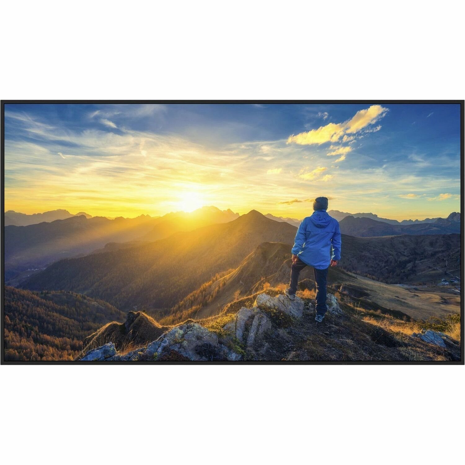 Sharp 43" Ultra High Definition Commercial Display