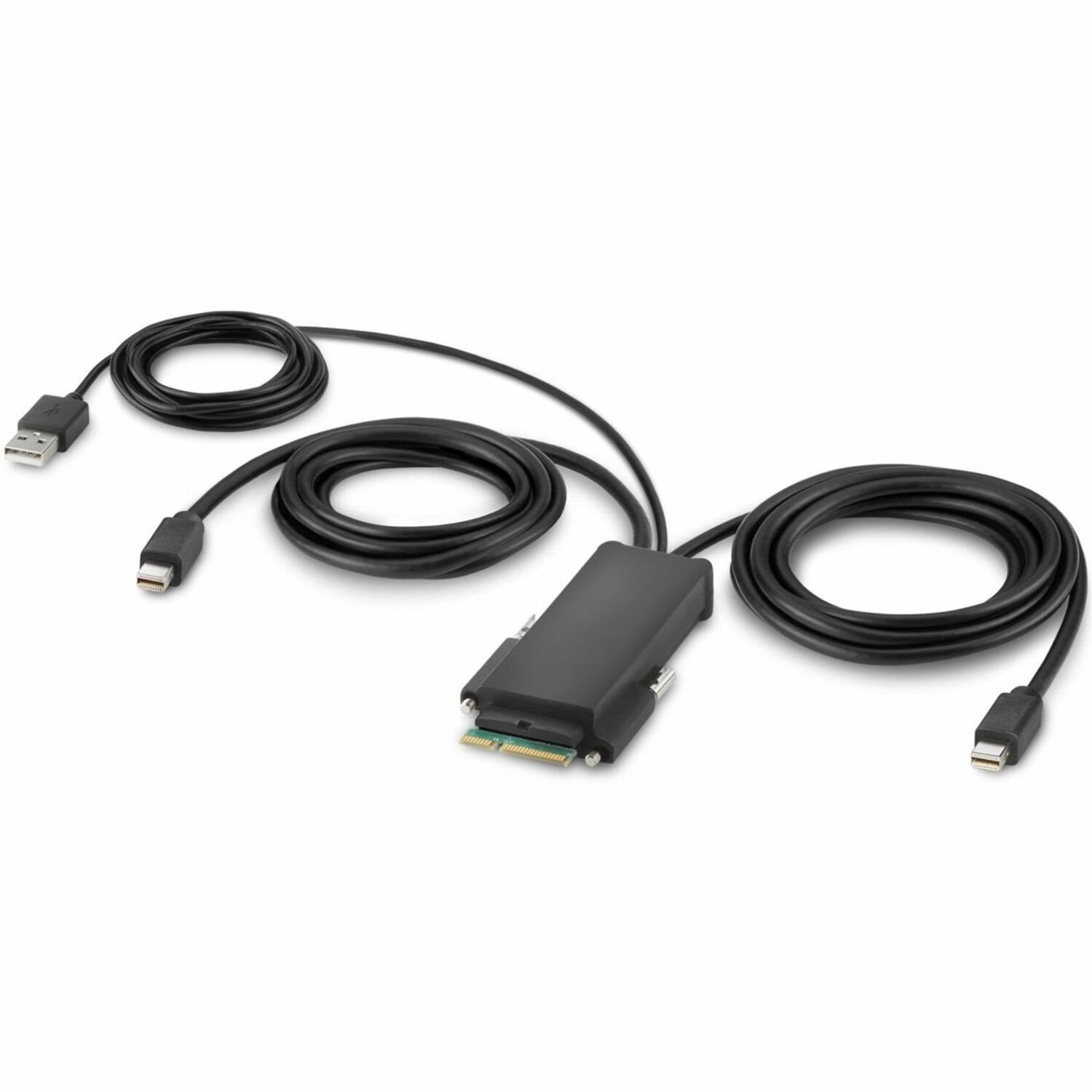 Belkin Modular Mini DP Dual-Head Host Cable 6 ft.