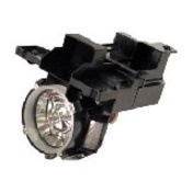 Infocus Projector Lamp