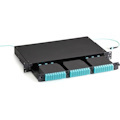 Black Box Fiber Optic High Density MTP Enclosure - 3-Slot, 1U