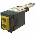 Ortronics Infinium Fiber Optic Network Adapter