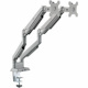 Rocstor ErgoReach Mounting Arm for Monitor - Silver - Landscape/Portrait