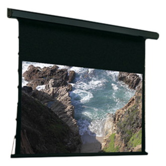 Draper Premier 123" Projection Screen
