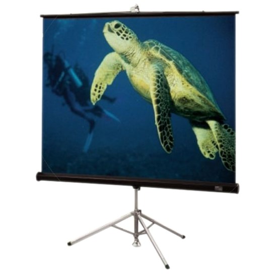 Draper Diplomat 215007 72" Projection Screen