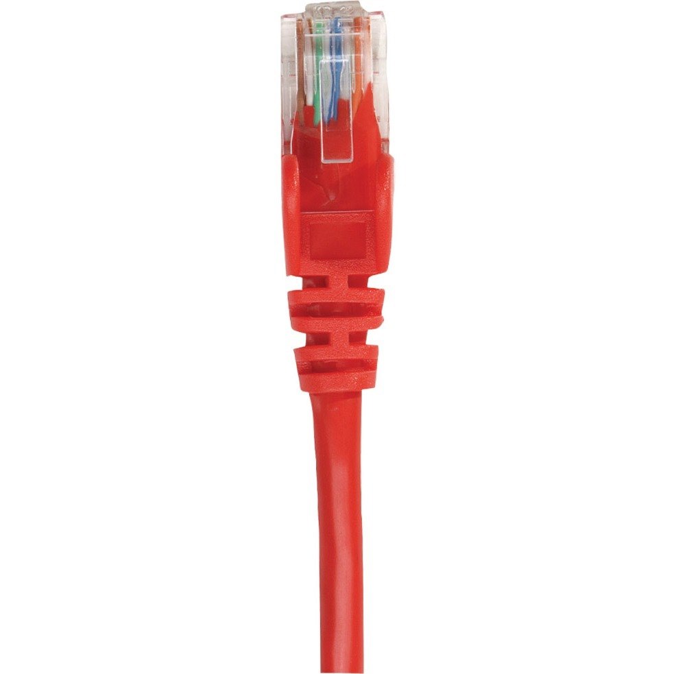 Intellinet Network Solutions Cat5e UTP Network Patch Cable, 100 ft (30 m), Red